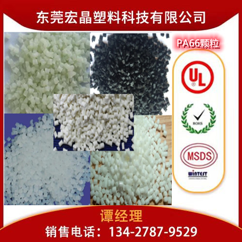 供應(yīng)PA66德國朗盛A30S